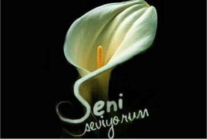 1986 kez tklanm.